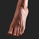 Standing without Bolts (Free)